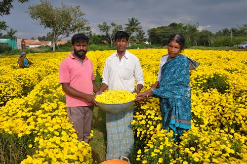 Farmers Gathering Flowers