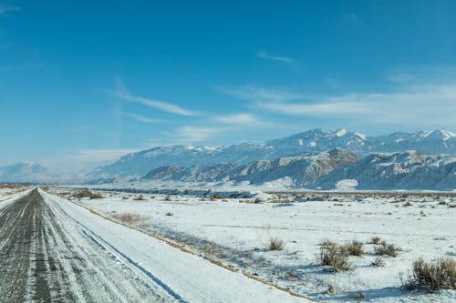 Road in Countryside in Winter