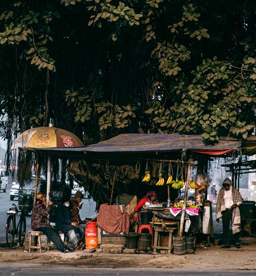 Free A bustling street vendor stall under a large tree in Dhaka, Bangladesh, featuring local produce and people. Stock Photo