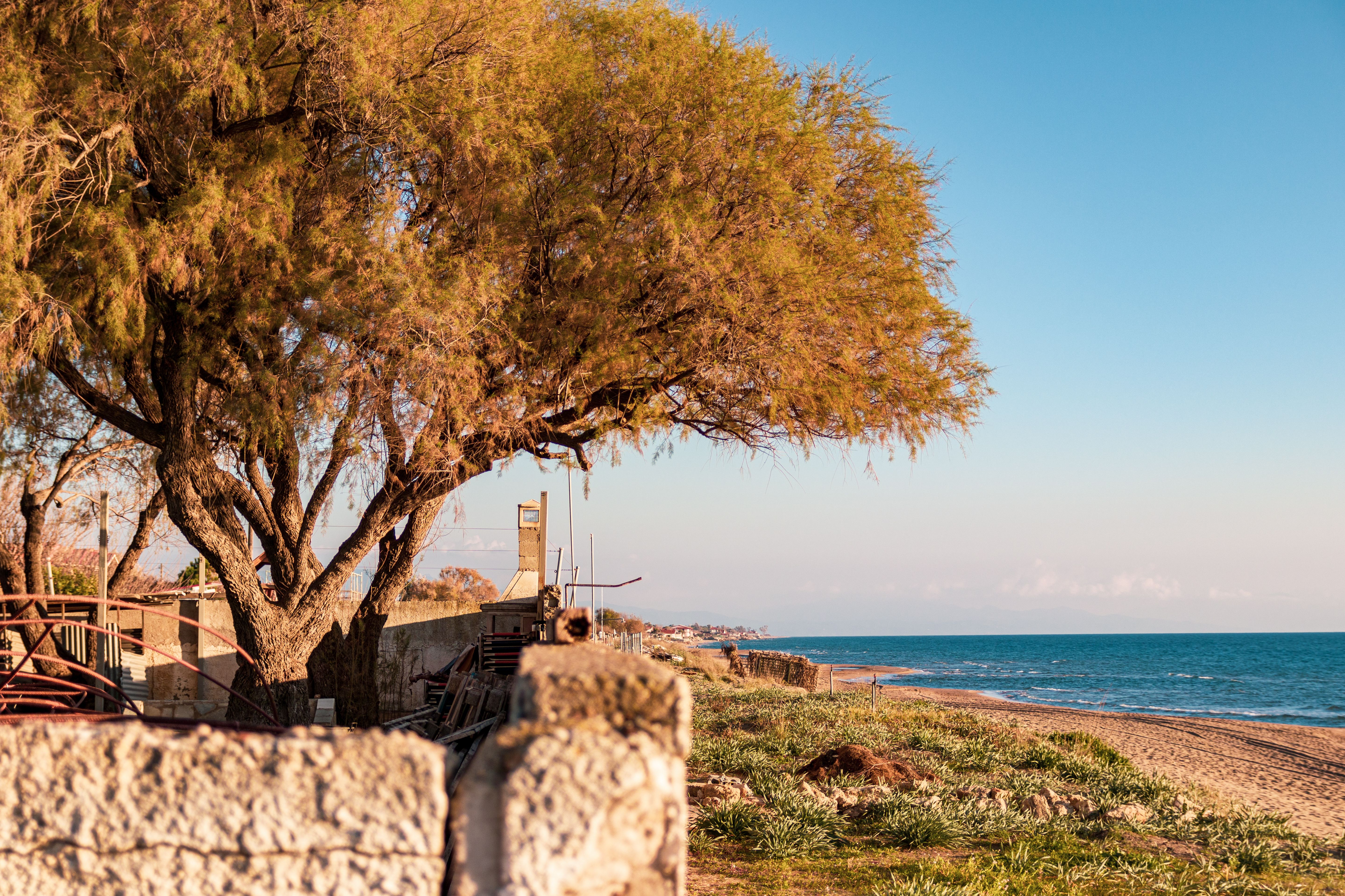 Serene coastal scene in Pyrgos, Greece, featuring a tree and sandy beach at sunset.