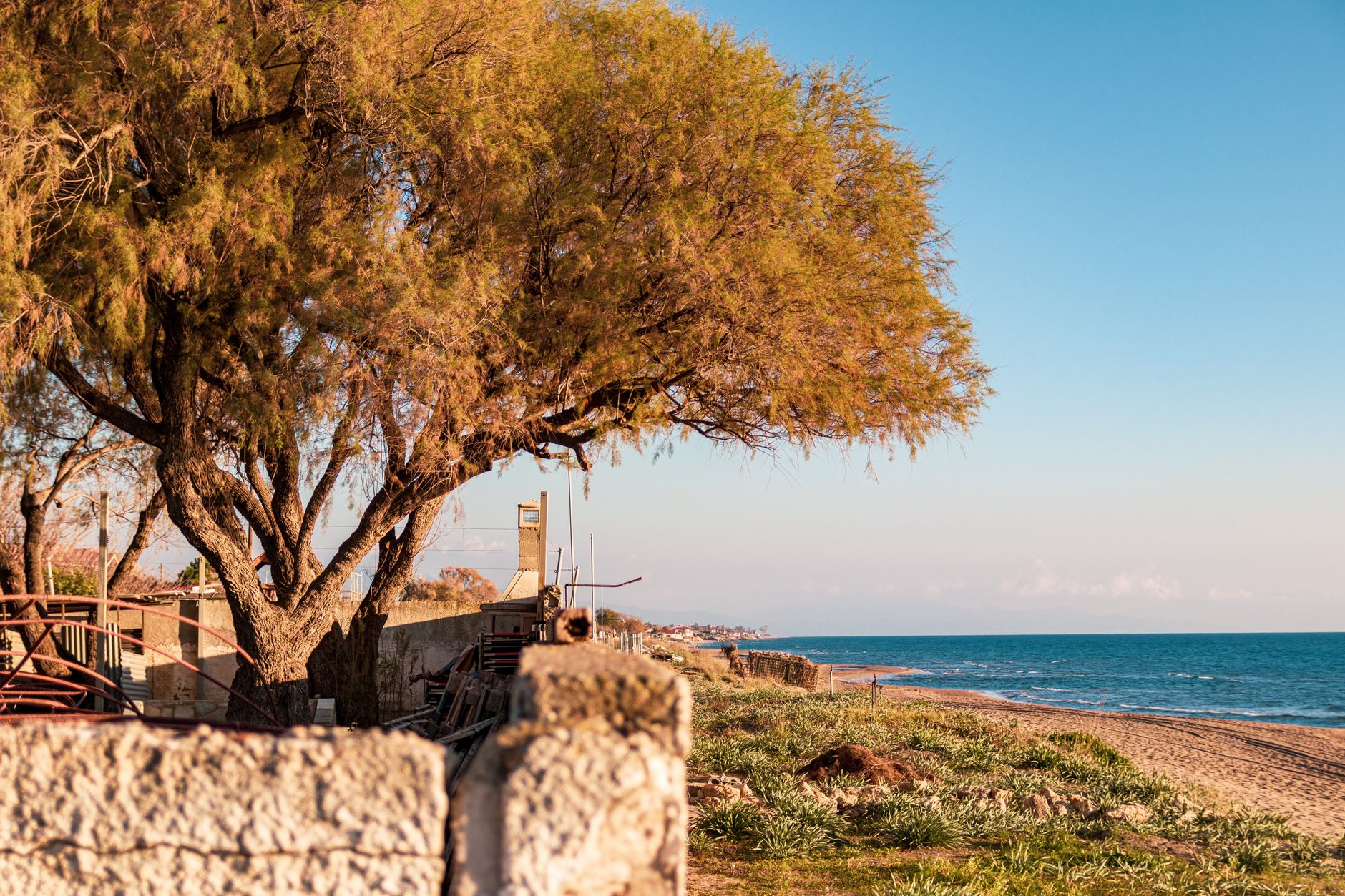 Serene coastal scene in Pyrgos, Greece, featuring a tree and sandy beach at sunset.