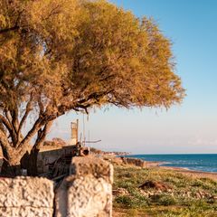 Two hours from Tel Aviv: why more Israeli families are moving to Athens and Thessaloniki