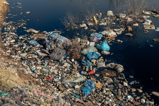 Free stock photo of beach, contamination, damage