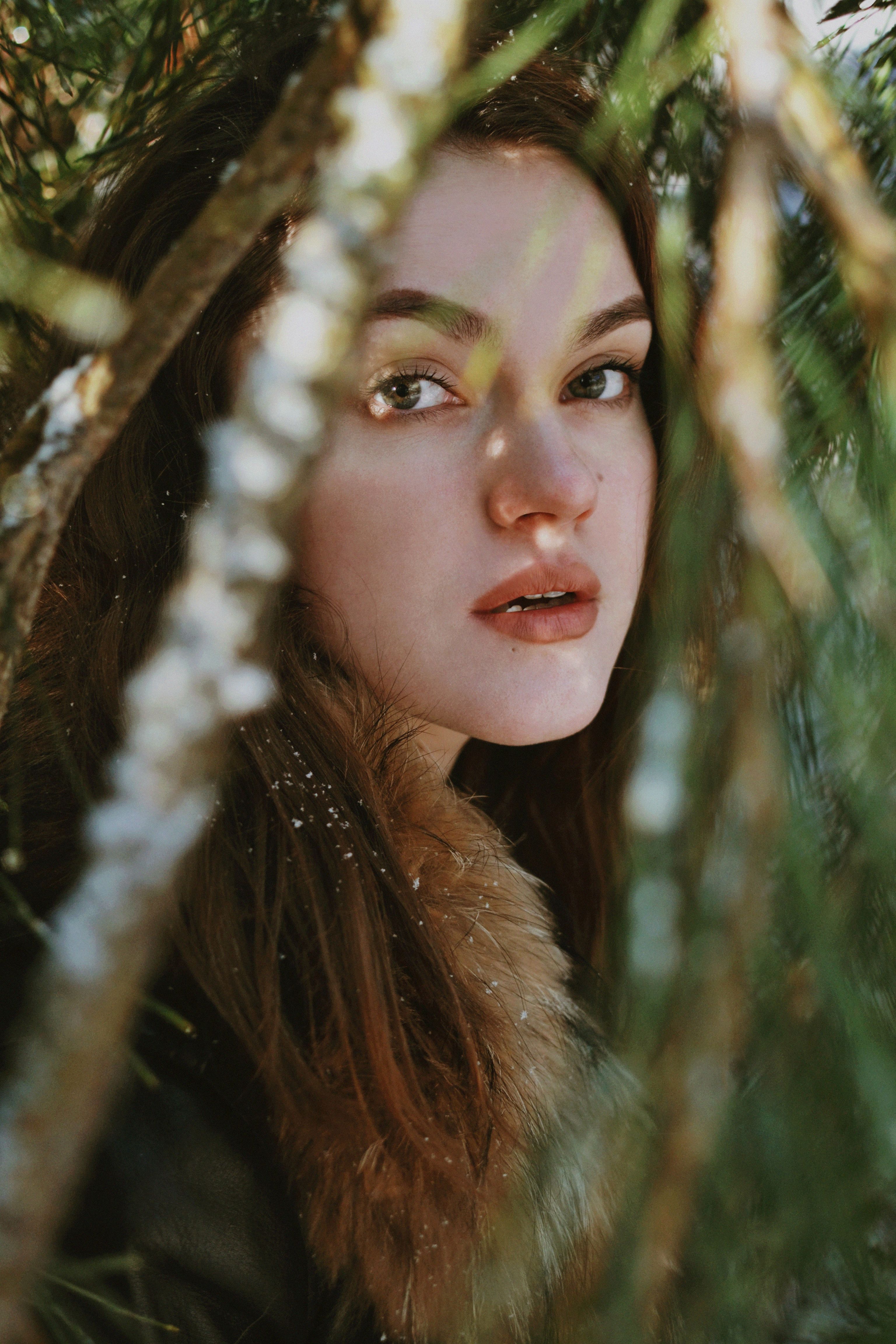 A captivating portrait of a young woman with brunette hair surrounded by pine branches, bathed in gentle sunlight.
