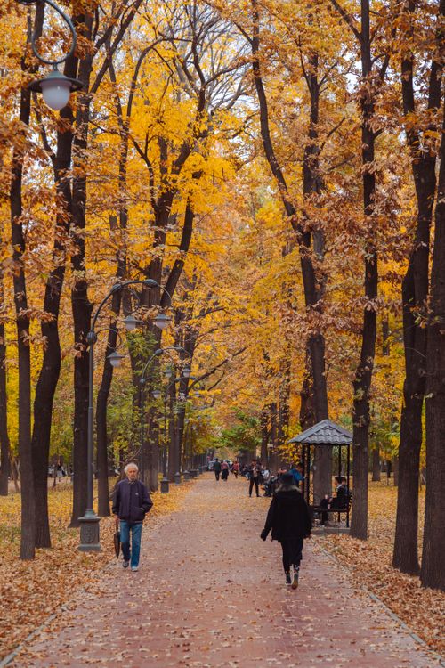 Free People walking along a beautiful autumn pathway surrounded by colorful fall foliage. Stock Photo