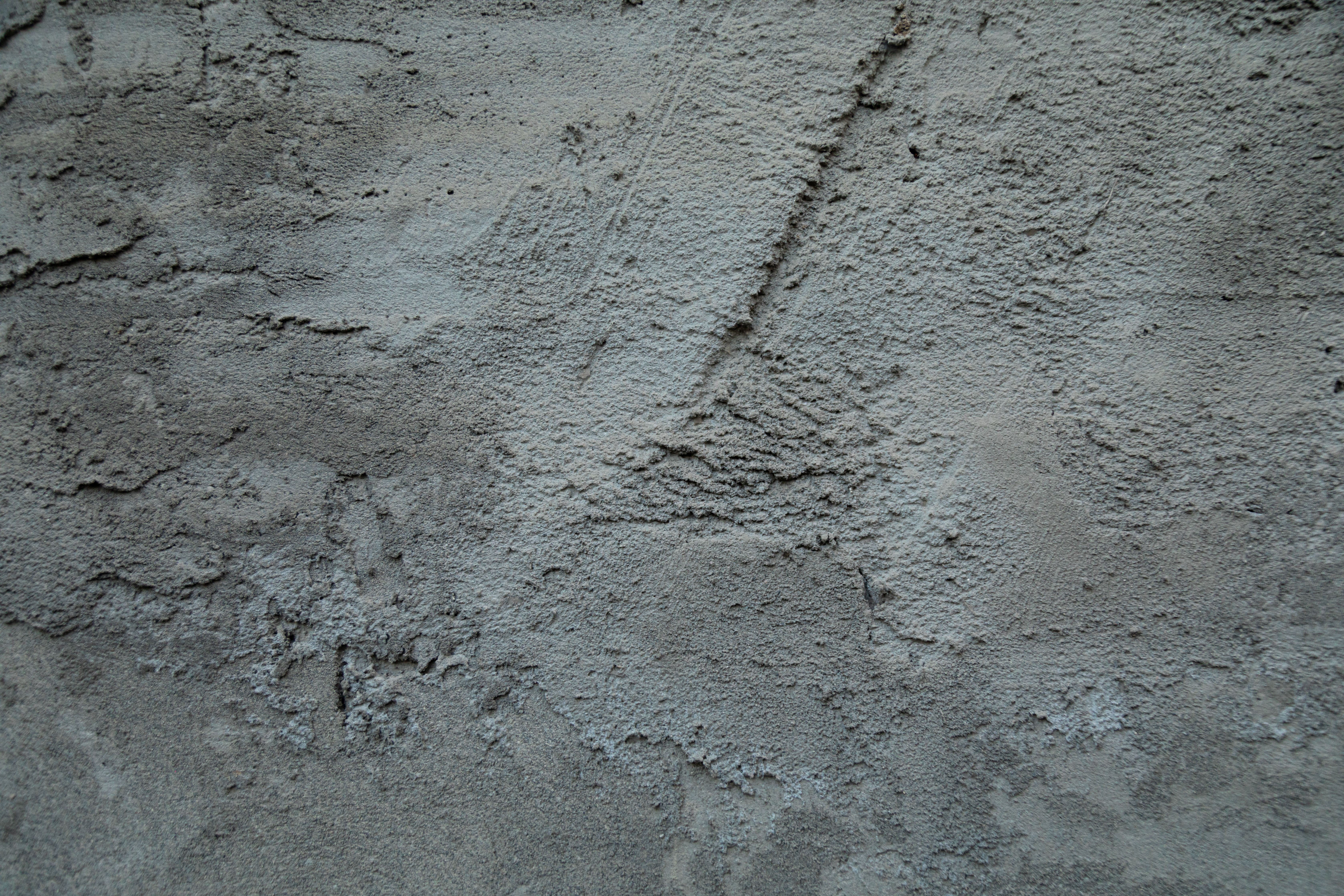 Technician performing foundation inspection in Littleton CO examining concrete walls for cracks and structural issues