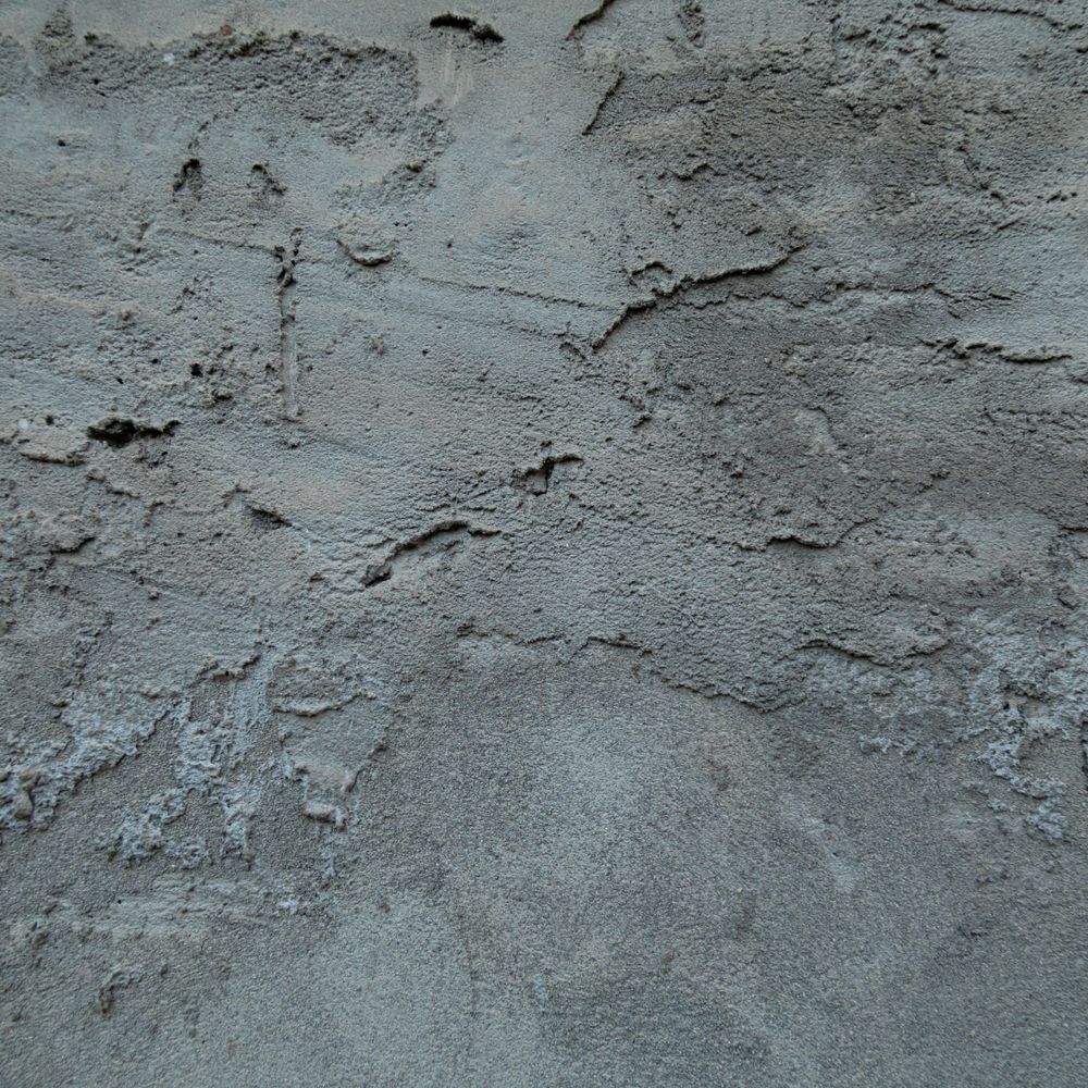 Wallpapering in Canonbury — surfaces prepped and cut in by hand