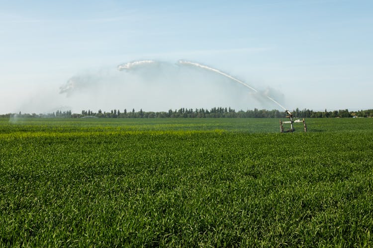 Guns Sprinkler Irrigation System Watering Wheat Field