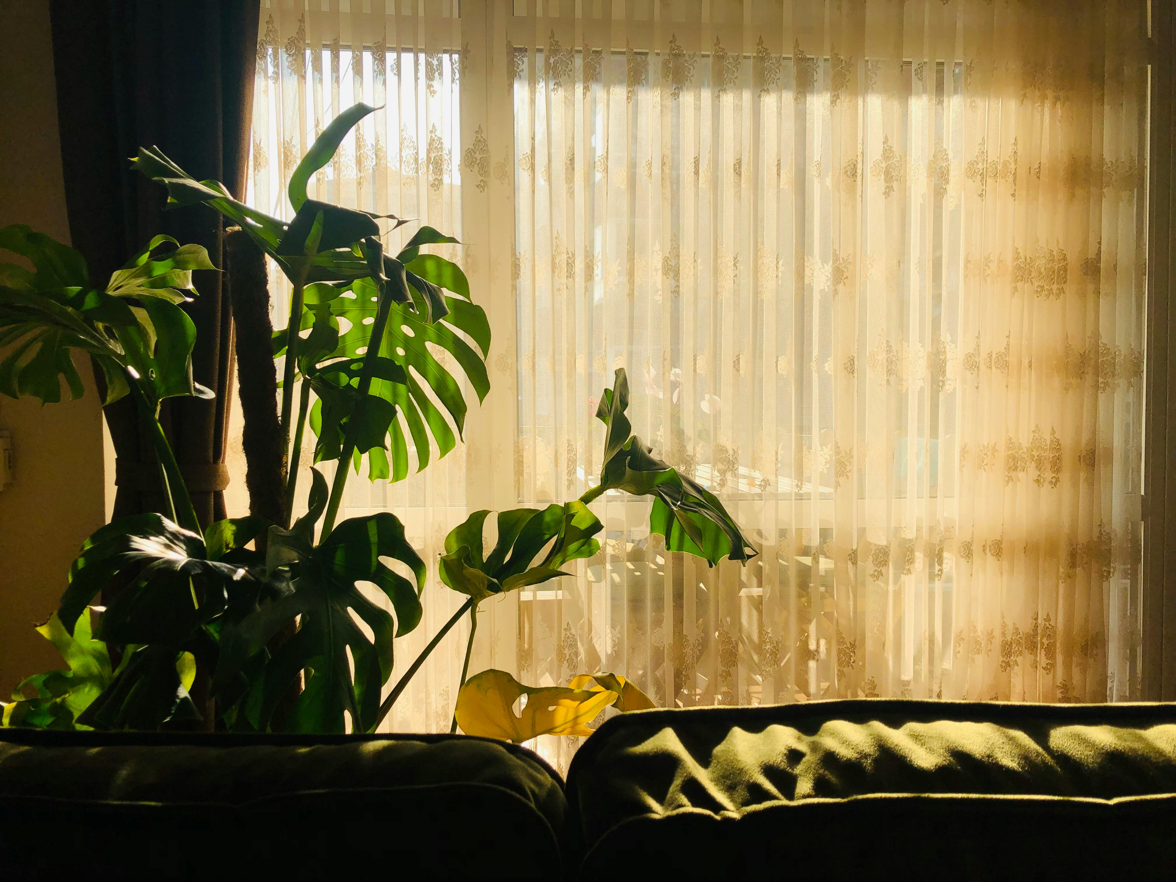 Television production setup in an arena, representing wrestling show production
