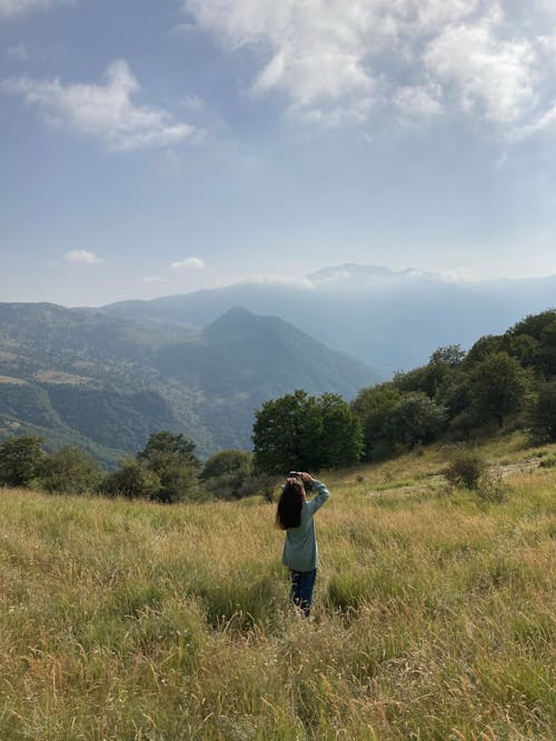 Foto d'estoc gratuïta de a l'aire lliure, arbres, camp