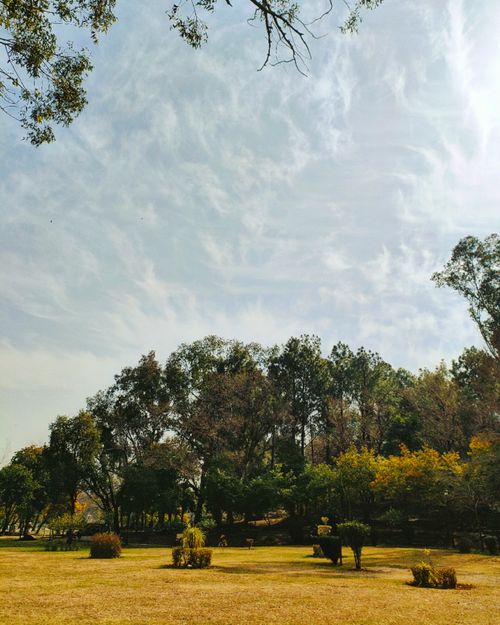 Free Captivating view of a serene park in Islamabad with vibrant greenery and a bright sky. Stock Photo
