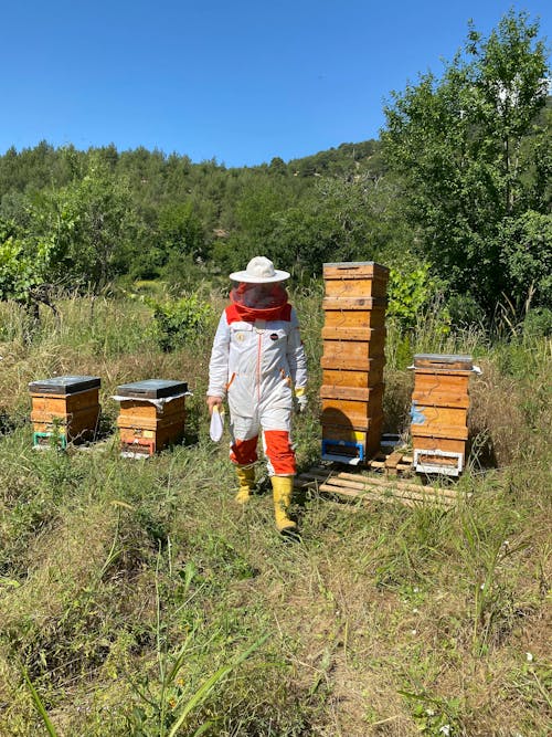 Beekeeper in Uniform by Hives