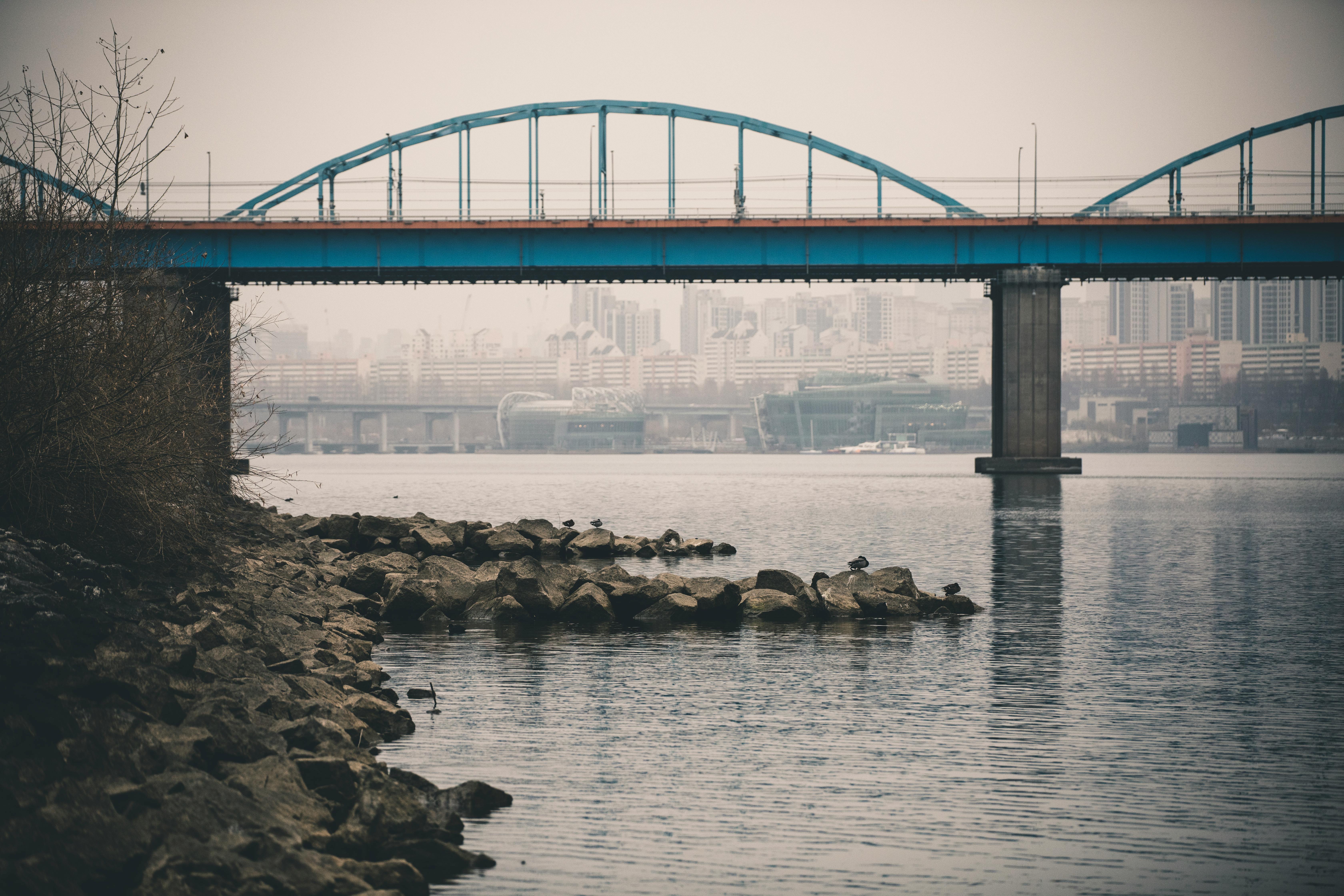 bridge in city