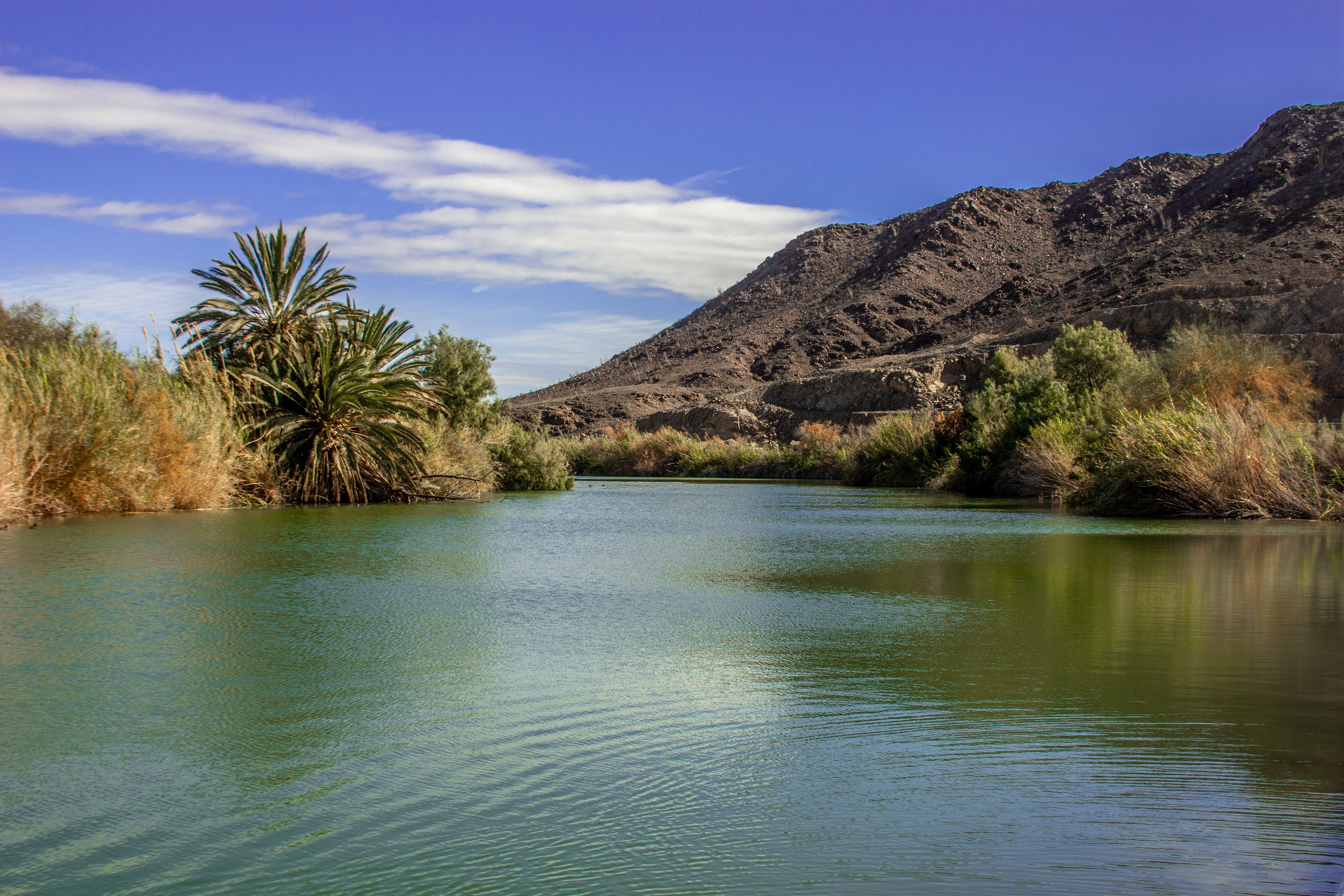 Most nad oued