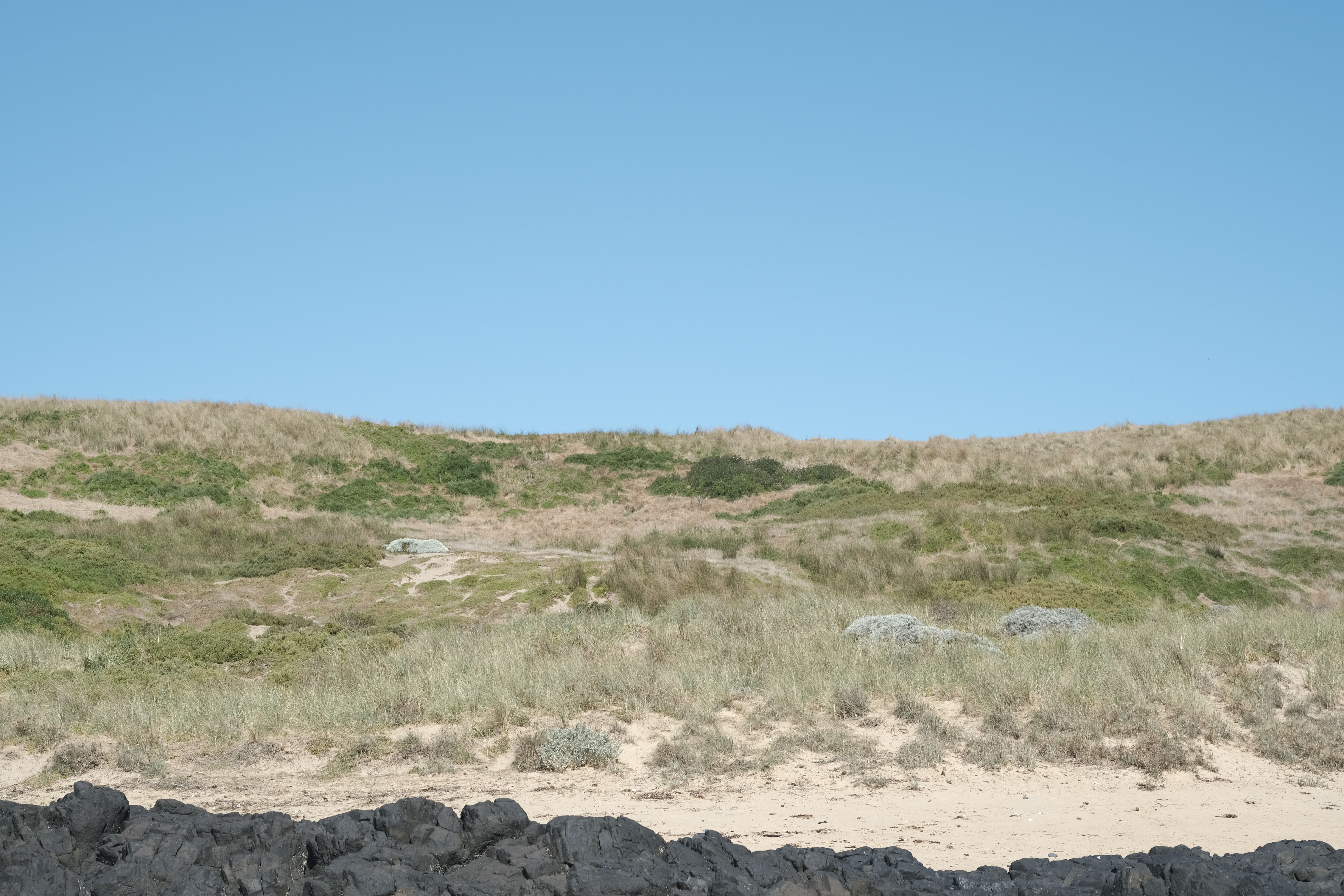 coastal landscape