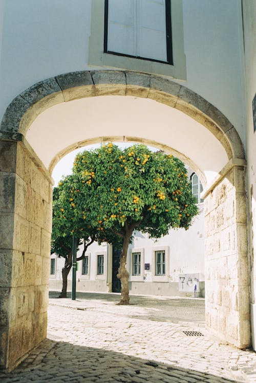 Foto profissional grátis de alameda, arcada, arcadas