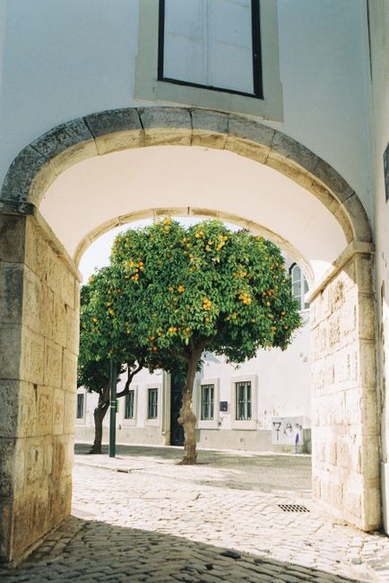 Peaceful alley view through an archway towards an orange tree in Faro, Portugal.