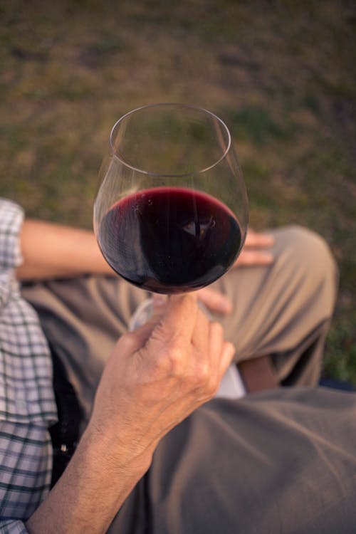 Close Up Photo of Person Holding Wine Glass