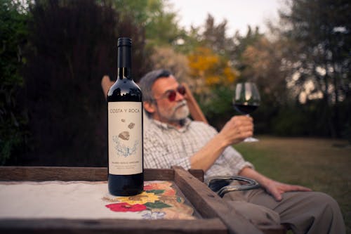 Elderly Man Sitting in a Garden with a Glass of Red Wine 