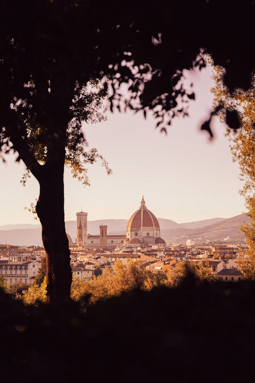 Trees and Town with Church behind