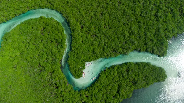 Stunning aerial view of a winding river through lush greenery in Colón, Panama.