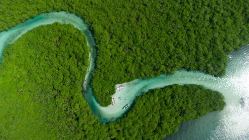 Free Stunning aerial view of a winding river through lush greenery in Colón, Panama. Stock Photo