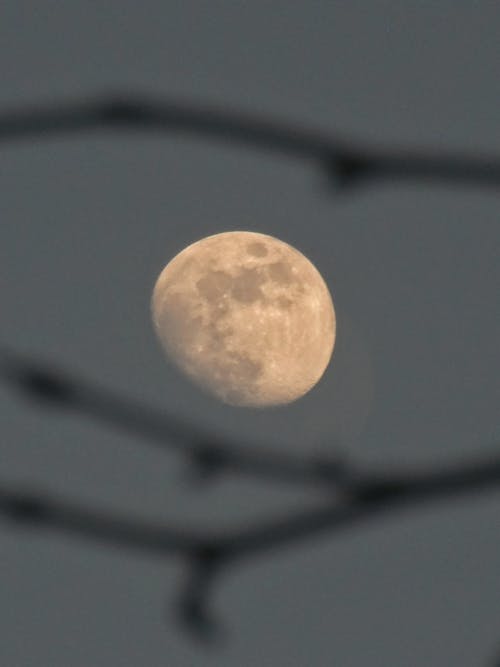 Moon in Evening Sky