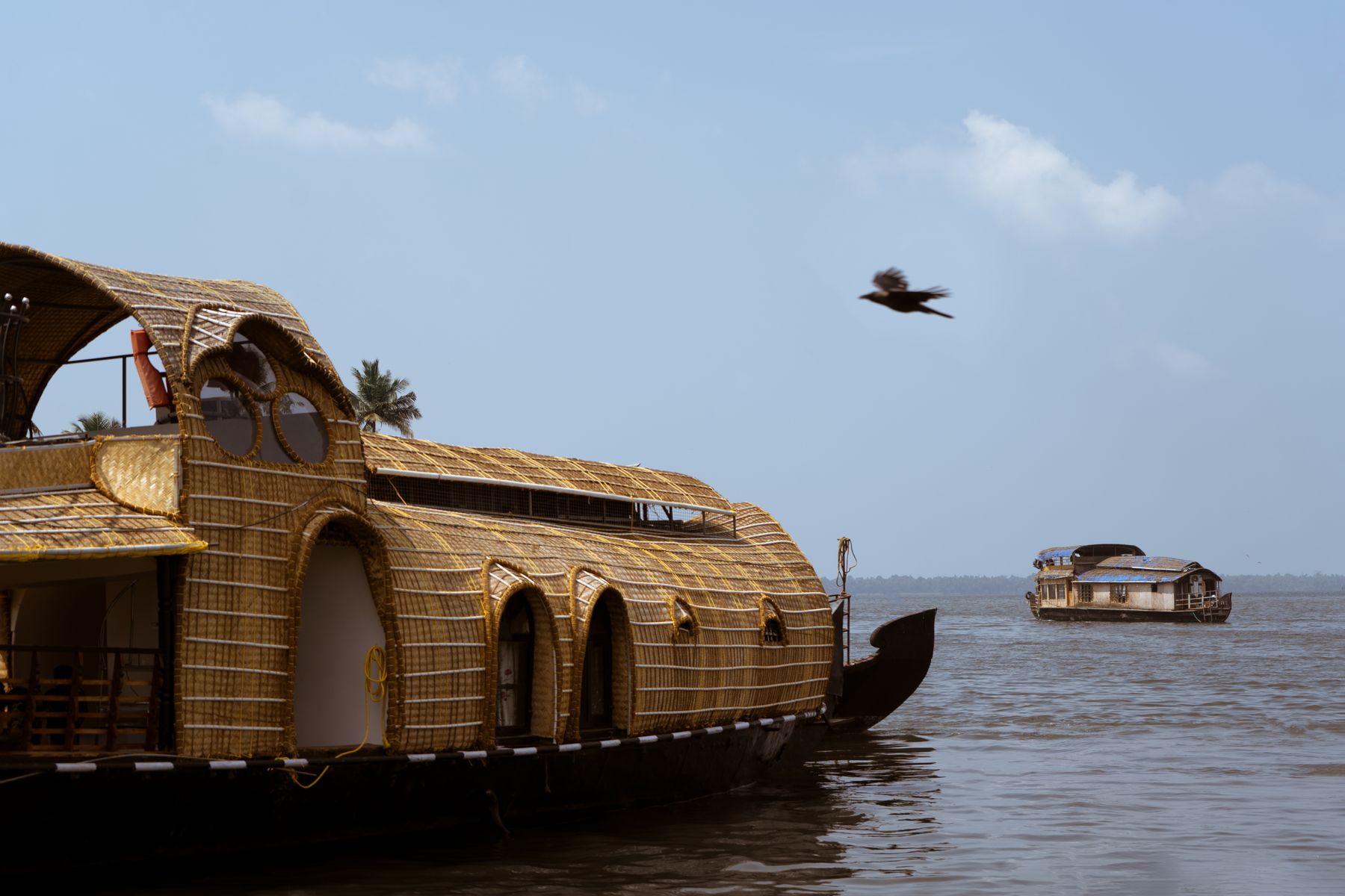 Backwater Suite Rooms in Kochi: Best Hotels with Private Water Views 2026