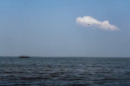 Бесплатное стоковое фото с горизонт, круизный лайнер, море