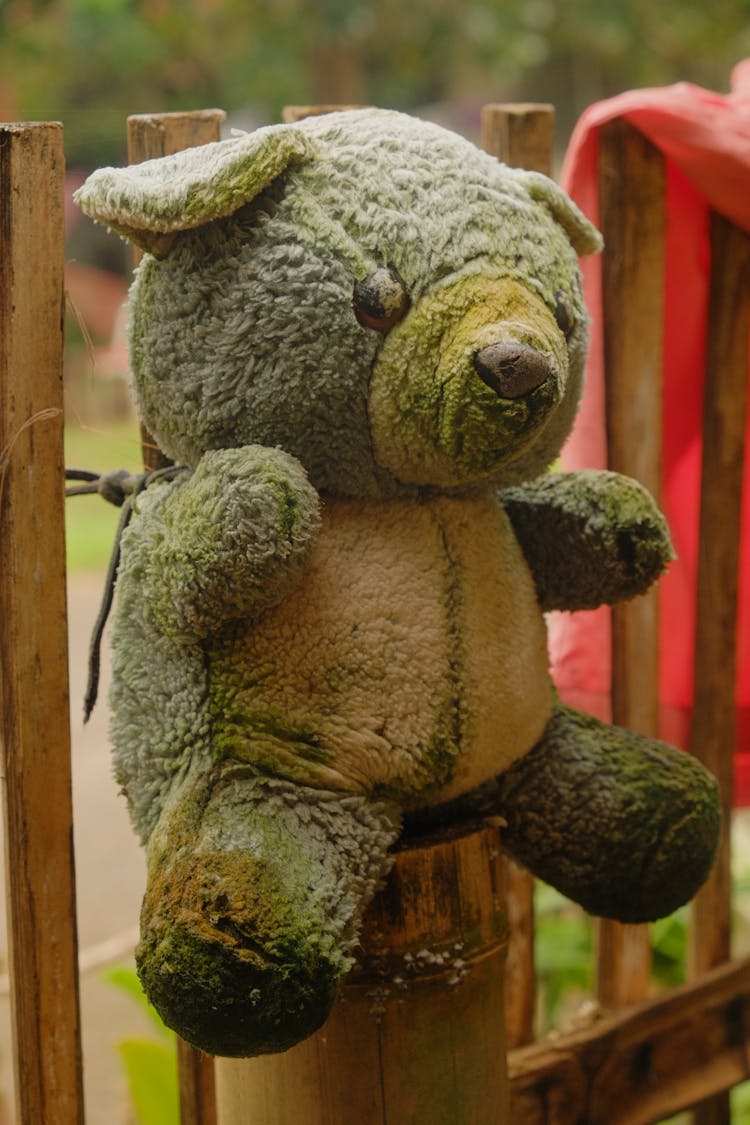 An Old Stuffed Toy On A Wooden Post