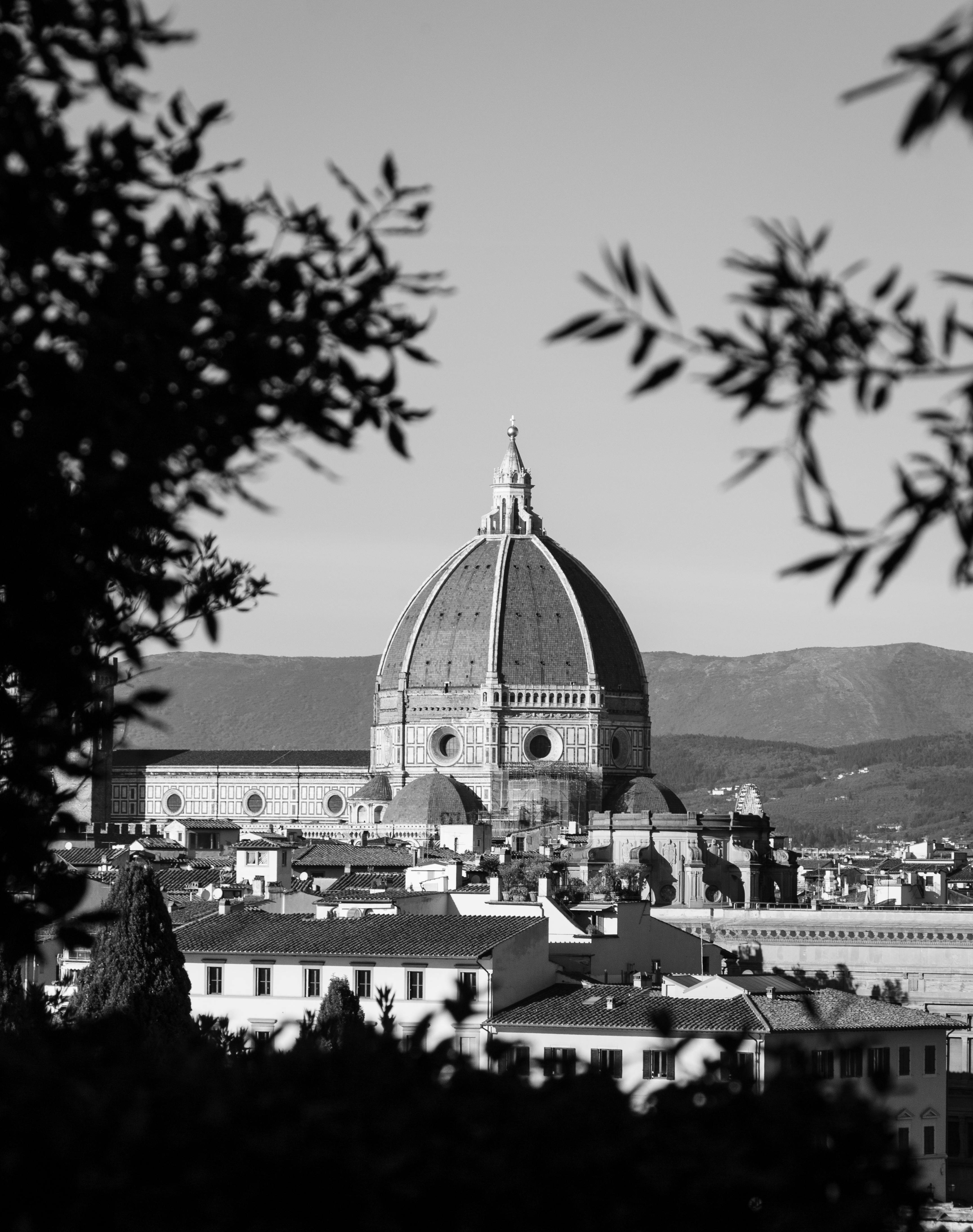 Iconic Santa Maria del Fiore in Florence's skyline with a scenic view.