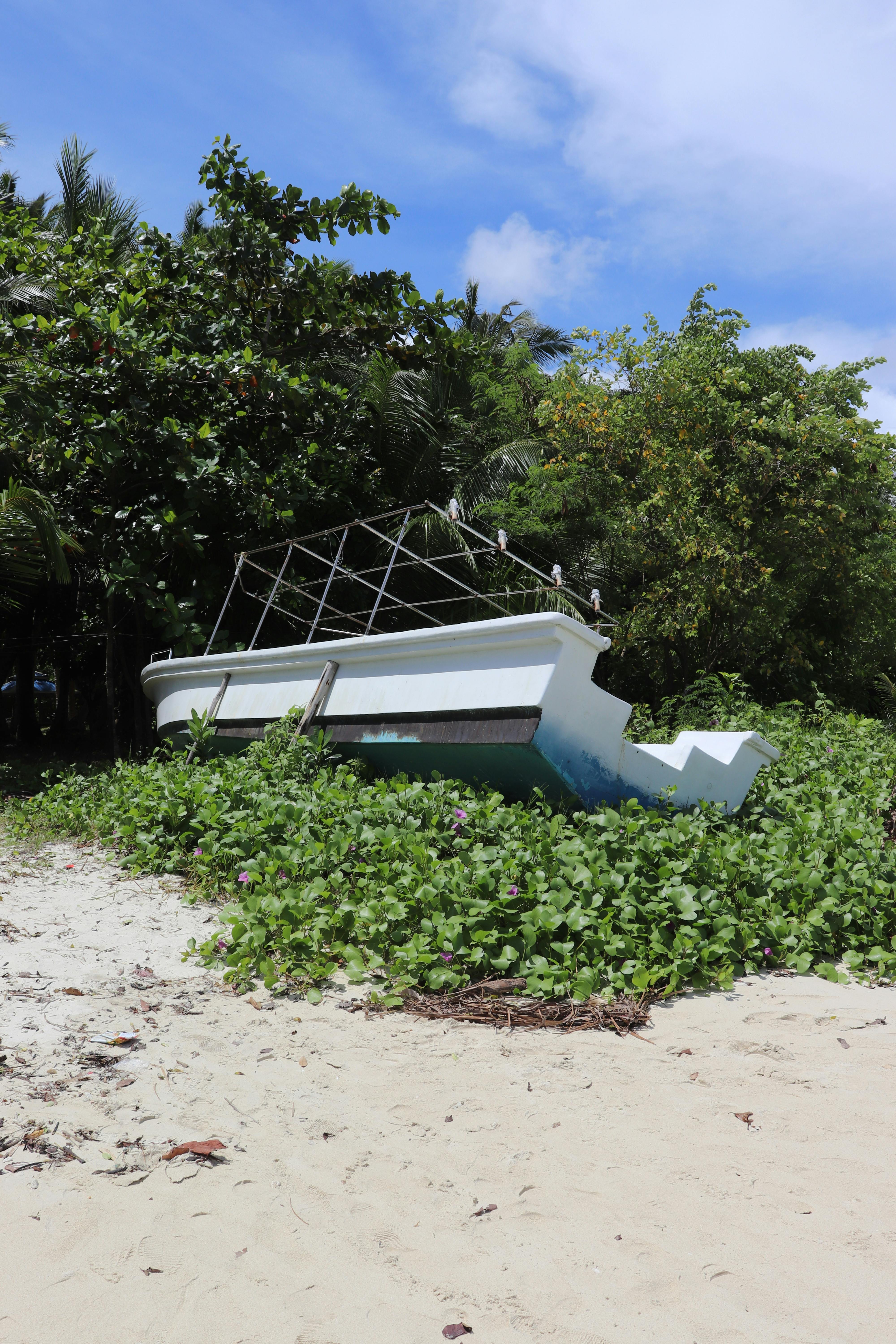 Toilet Repair near West Los Angeles CA