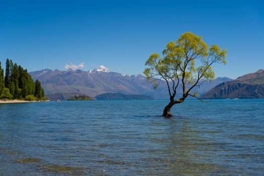 Wanaka and Roy's Peak hike — New Zealand — Queenstown