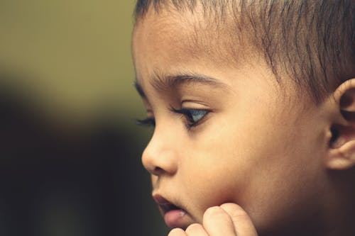 Free Portrait of a Boy  Stock Photo