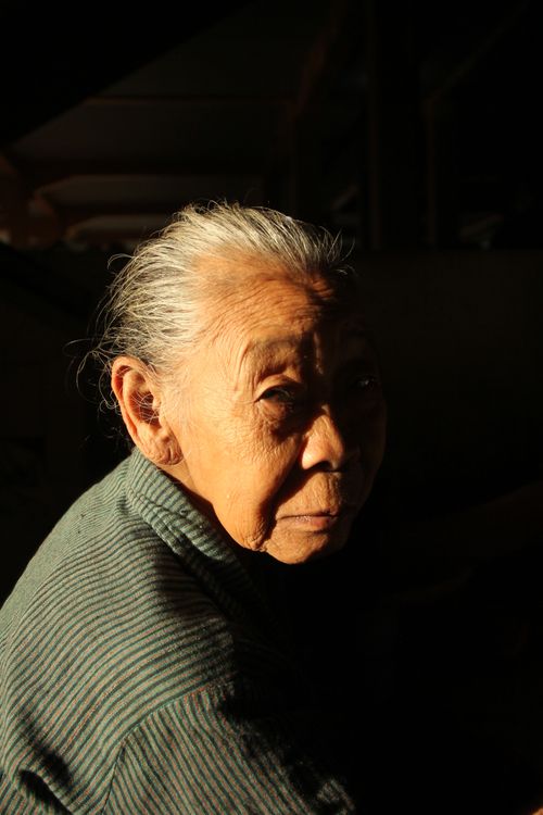 Free Close-up portrait of an elderly Asian woman, captured in warm sunlit tones, emphasizing her wisdom and grace. Stock Photo