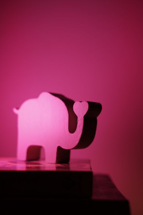 Free A wooden elephant figurine with dramatic pink lighting, highlighting its simplicity and style. Stock Photo