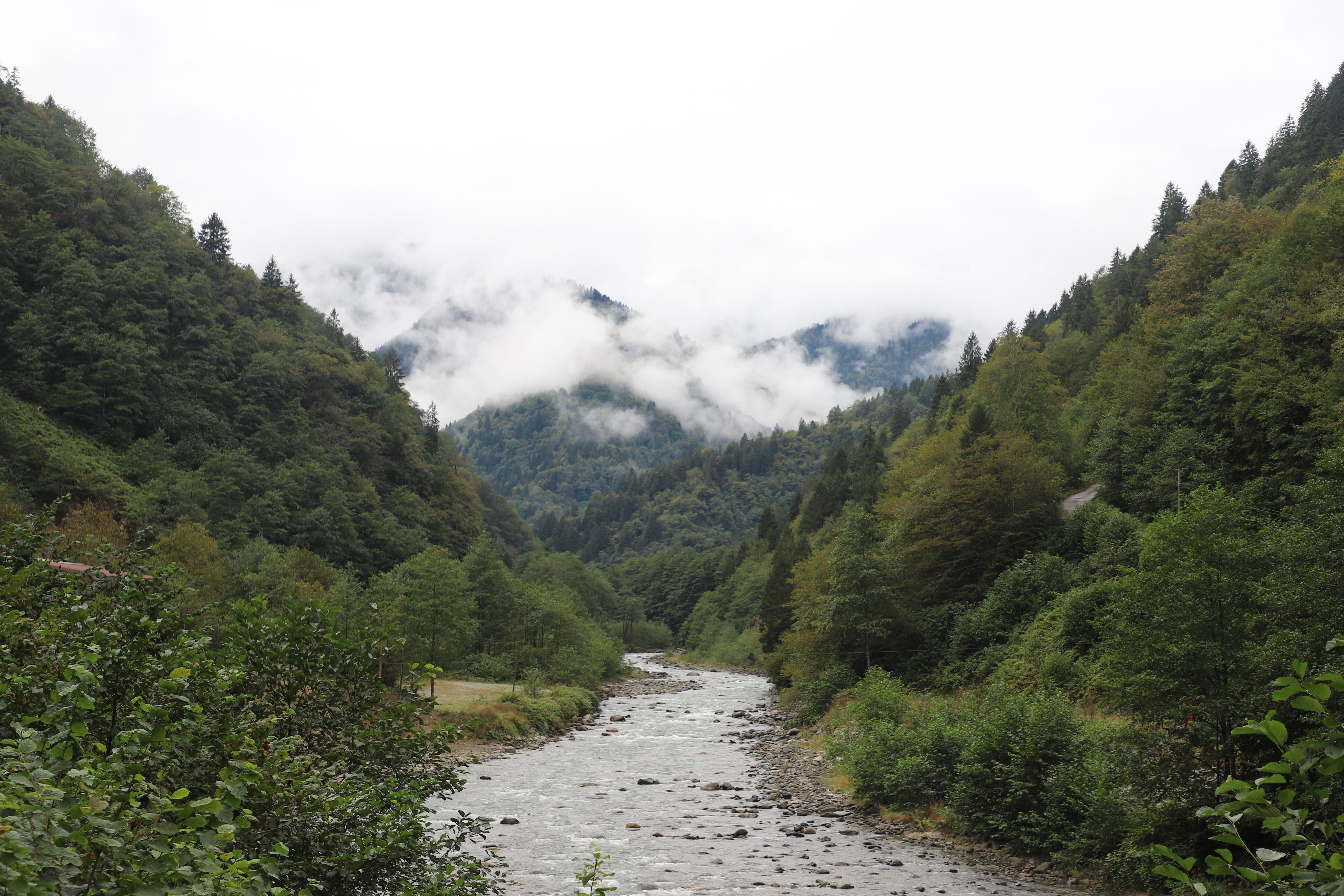 Maramureș Region