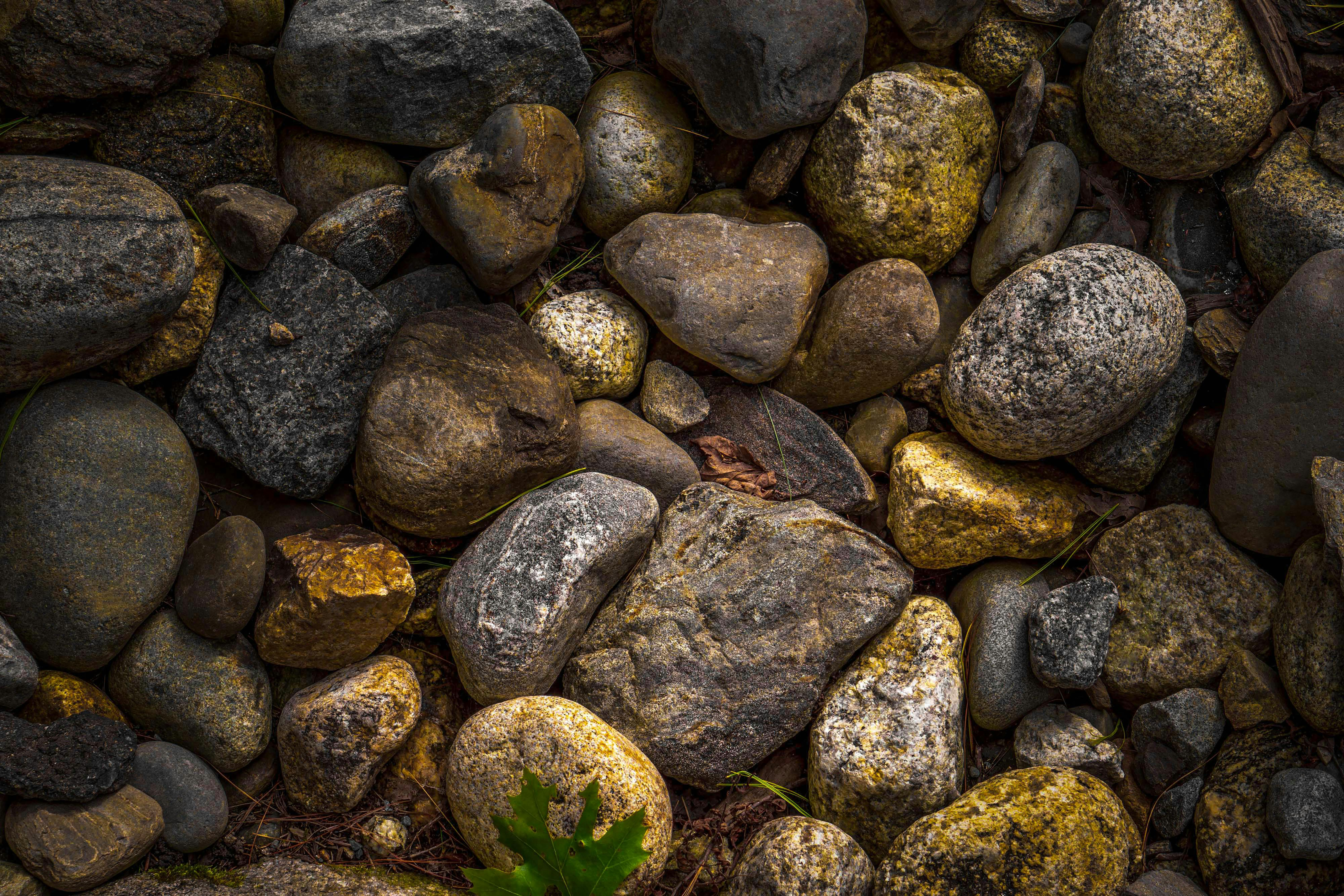 Close-up of textured and varied rocks in Boothbay Harbor, Maine.