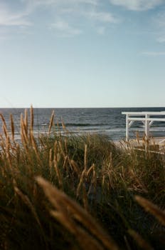 Peaceful seaside scene featuring grass and ocean under a clear sky.