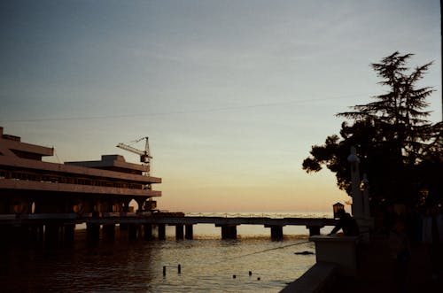 クレーン, ブリッジ, 夜明けの無料の写真素材