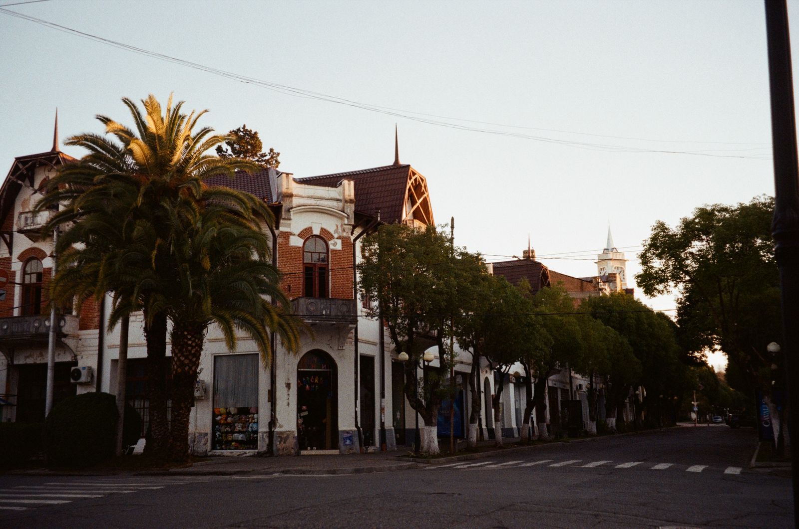 Calle con palmeras al atardecer en Santa Cruz