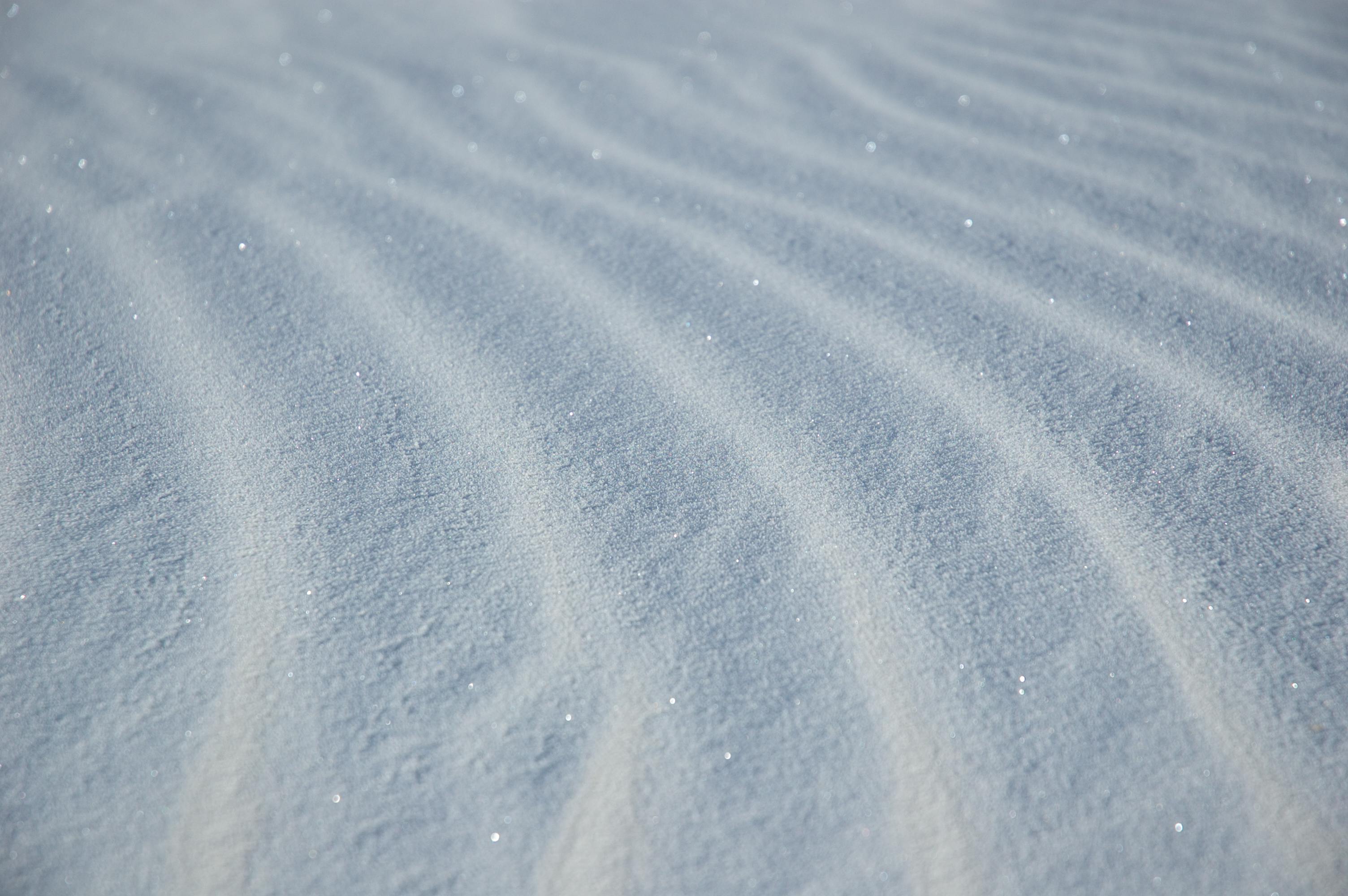 White Pattern Photos, Download The BEST Free White Pattern Stock Photos & HD Images