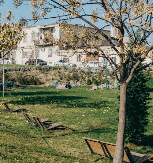 Benches at the Park