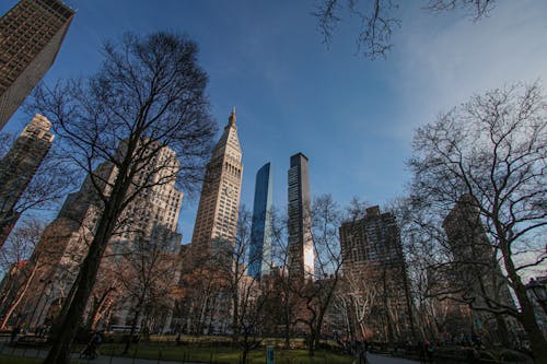 Low Angle Shot of Skyscrapers in New York City, New York, United States 
