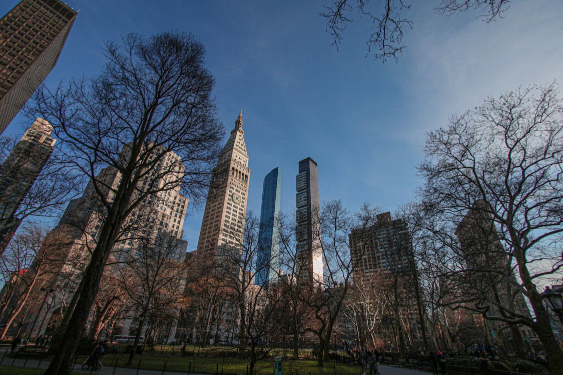 Free Low Angle Shot of Skyscrapers in New York City, New York, United States  Stock Photo