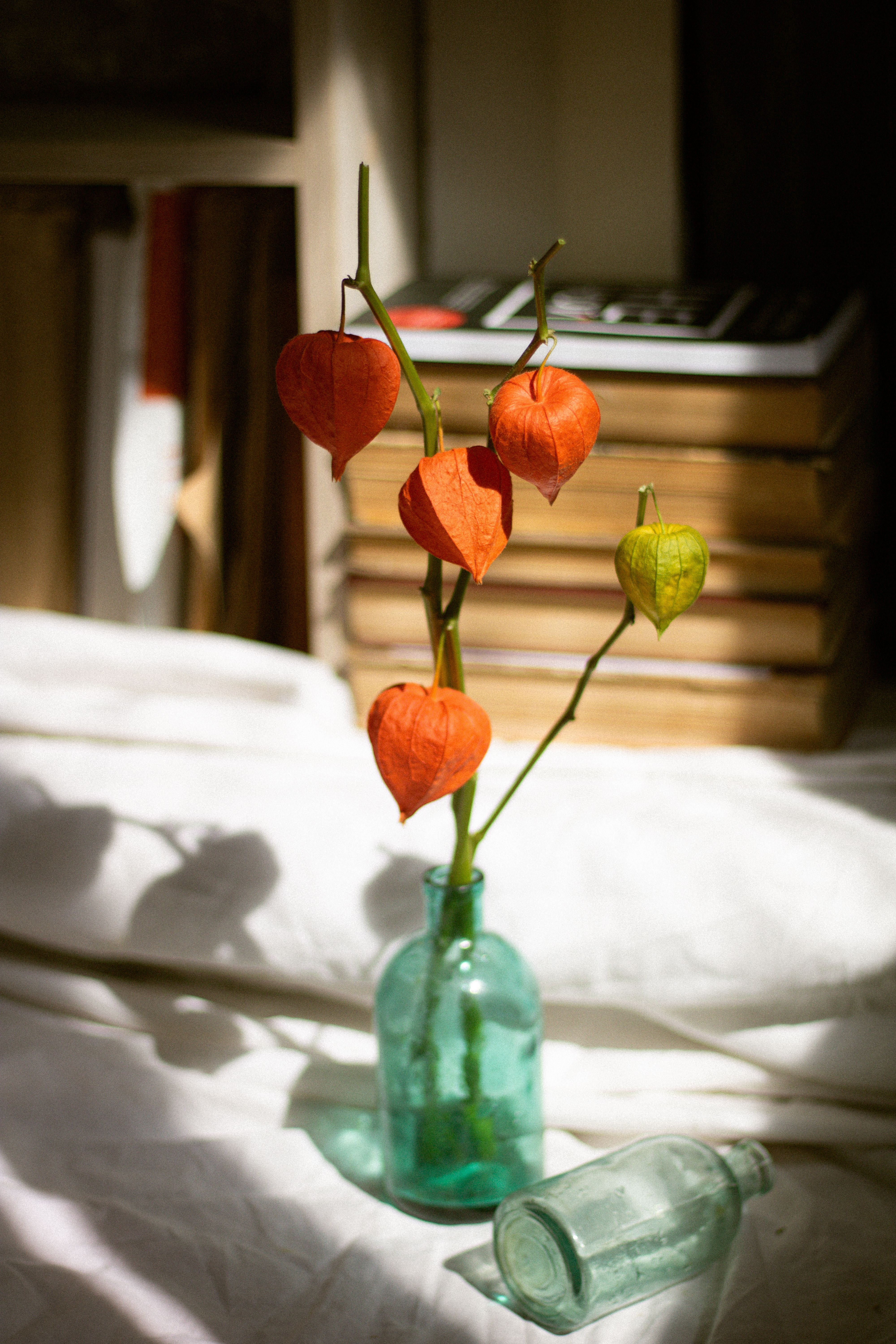 Artistic still life of Physalis flowers in a vintage glass vase with stacked books.