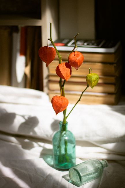 Artistic still life of Physalis flowers in a vintage glass vase with stacked books.