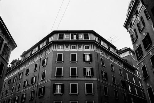 건축, 검정색과 흰색, 그레이스케일의 무료 스톡 사진