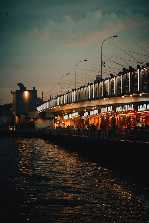 Illuminated Harbor in the Evening