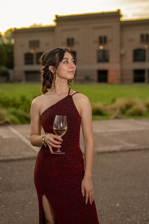 lady in red dress wine Woman Red Dress Glass Red Wine Stock Photo 1631745826